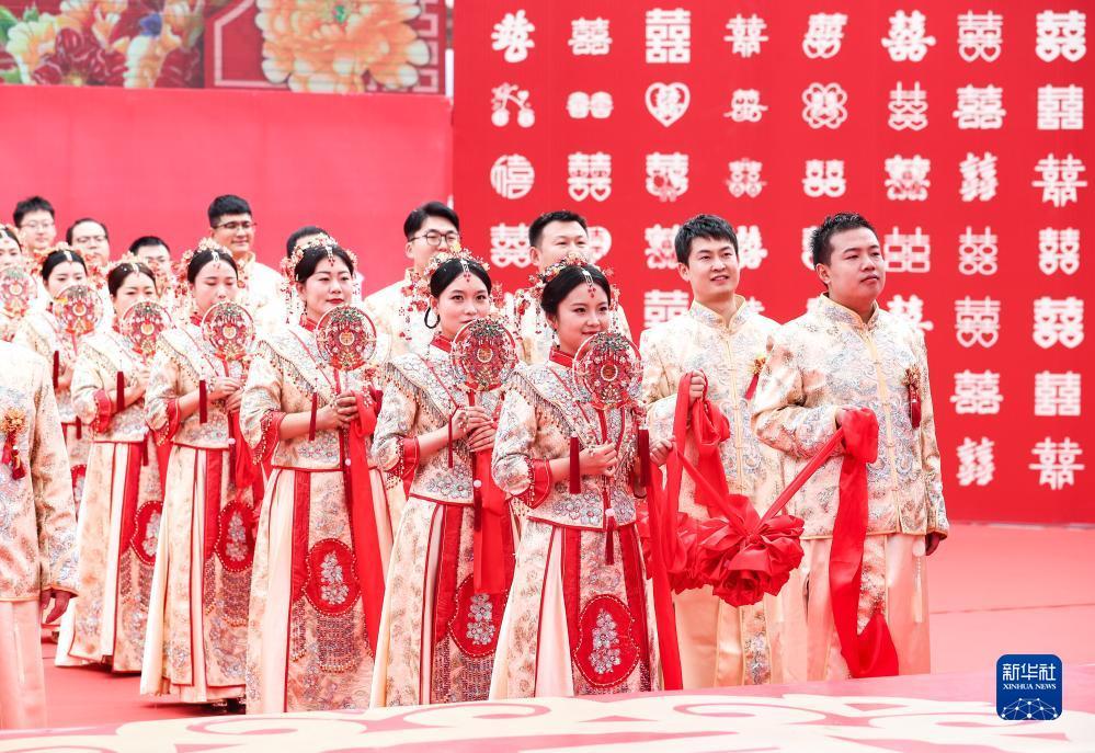 大发贝斯特是什么